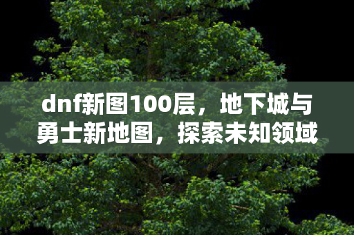 dnf新图100层,地下城与勇士新地图,探索未知领域的冒险之旅 dnf新图100层,地下城与勇士新地图,探索未知领域的冒险之旅