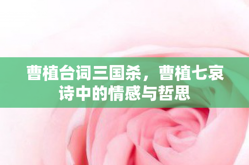 曹植台词三国杀,曹植七哀诗中的情感与哲思 曹植台词三国杀,曹植七哀诗中的情感与哲思