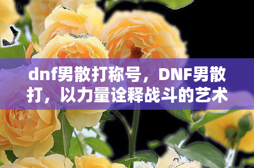 dnf男散打称号，DNF男散打，以力量诠释战斗的艺术