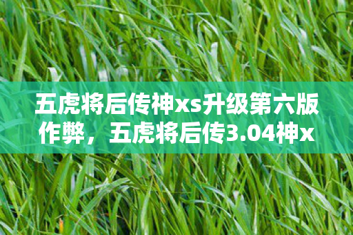 五虎将后传神xs升级第六版作弊,五虎将后传3.04神xs升级版,解锁无限可能的作弊技巧 五虎将后传神xs升级第六版作弊,五虎将后传3.04神xs升级版,解锁无限可能的作弊技巧