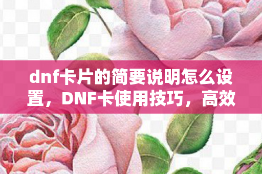 dnf卡片的简要说明怎么设置，DNF卡使用技巧，高效利用，提升游戏体验