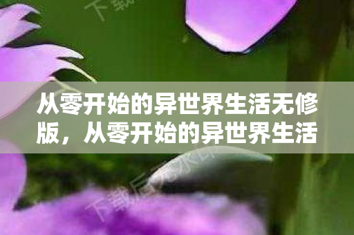 从零开始的异世界生活无修版，从零开始的异世界生活无修，探索未知世界的奇妙旅程
