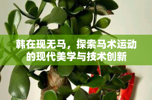 韩在现无马，探索马术运动的现代美学与技术创新
