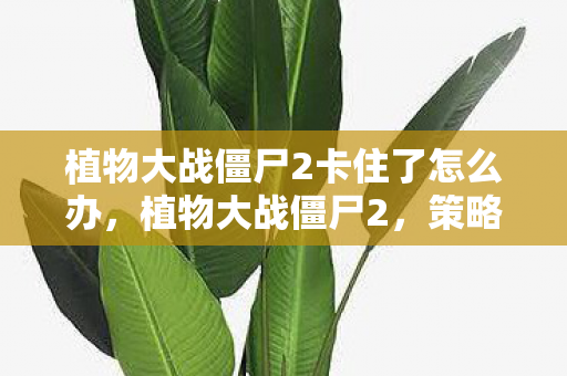 植物大战僵尸2卡住了怎么办，植物大战僵尸2，策略与智慧的碰撞