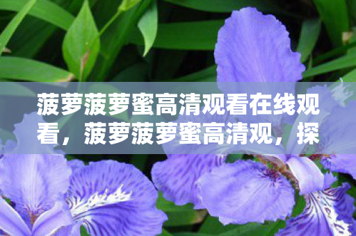 菠萝菠萝蜜高清观看在线观看,菠萝菠萝蜜高清观,探索高清影视的无限可能 菠萝菠萝蜜高清观看在线观看,菠萝菠萝蜜高清观,探索高清影视的无限可能