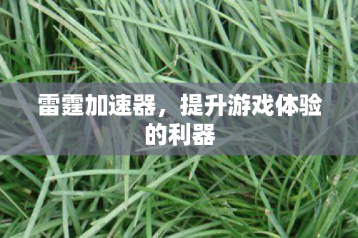 雷霆加速器,提升游戏体验的利器 雷霆加速器,提升游戏体验的利器