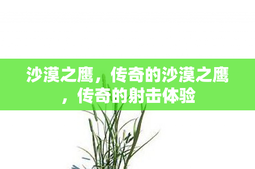 沙漠之鹰,传奇的沙漠之鹰,传奇的射击体验 沙漠之鹰,传奇的沙漠之鹰,传奇的射击体验