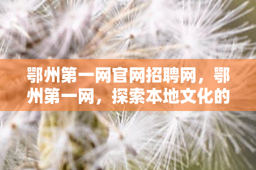 鄂州第一网官网招聘网，鄂州第一网，探索本地文化的深度与广度