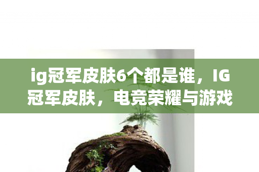 ig冠军皮肤6个都是谁,IG冠军皮肤,电竞荣耀与游戏艺术的结晶 ig冠军皮肤6个都是谁,IG冠军皮肤,电竞荣耀与游戏艺术的结晶