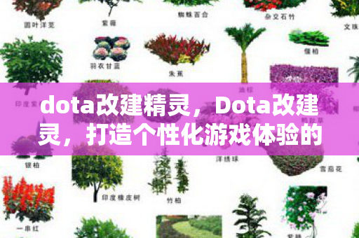 dota改建精灵,Dota改建灵,打造个性化游戏体验的利器 dota改建精灵,Dota改建灵,打造个性化游戏体验的利器
