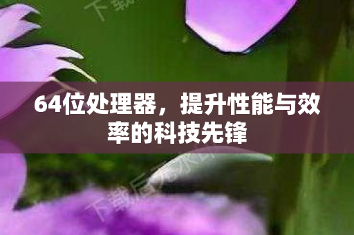64位处理器,提升性能与效率的科技先锋 64位处理器,提升性能与效率的科技先锋