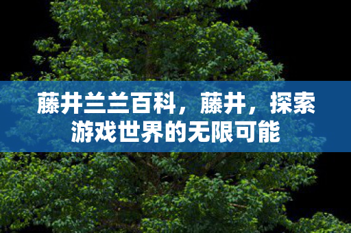 藤井兰兰百科，藤井，探索游戏世界的无限可能