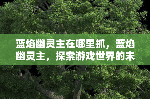 蓝焰幽灵主在哪里抓,蓝焰幽灵主,探索游戏世界的未知领域 蓝焰幽灵主在哪里抓,蓝焰幽灵主,探索游戏世界的未知领域