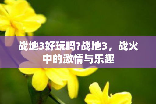 战地3好玩吗?战地3,战火中的激情与乐趣 战地3好玩吗?战地3,战火中的激情与乐趣
