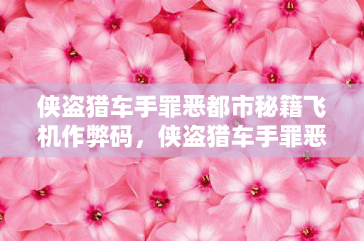 侠盗猎车手罪恶都市秘籍飞机作弊码,侠盗猎车手罪恶都市秘籍飞机,探索飞行乐趣的秘籍 侠盗猎车手罪恶都市秘籍飞机作弊码,侠盗猎车手罪恶都市秘籍飞机,探索飞行乐趣的秘籍
