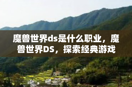魔兽世界ds是什么职业，魔兽世界DS，探索经典游戏的魅力与未来