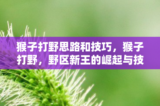 猴子打野思路和技巧，猴子打野，野区新王的崛起与技巧解析