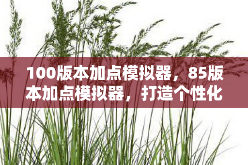 100版本加点模拟器,85版本加点模拟器,打造个性化角色,提升游戏战斗力的关键工具 100版本加点模拟器,85版本加点模拟器,打造个性化角色,提升游戏战斗力的关键工具