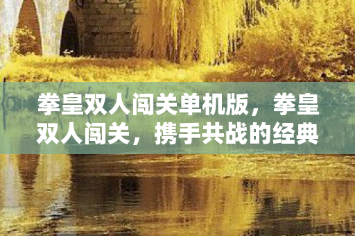 拳皇双人闯关单机版,拳皇双人闯关,携手共战的经典回忆 拳皇双人闯关单机版,拳皇双人闯关,携手共战的经典回忆