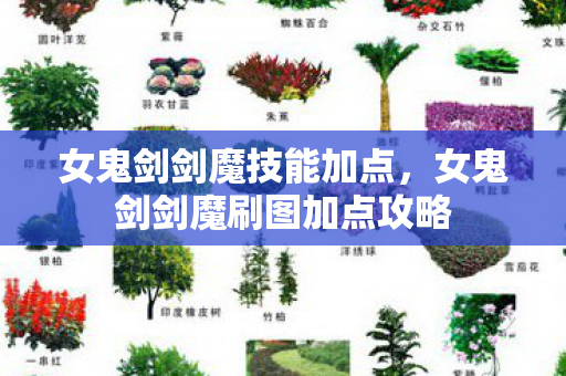 女鬼剑剑魔技能加点，女鬼剑剑魔刷图加点攻略