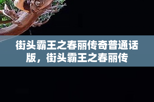 街头霸王之春丽传奇普通话版,街头霸王之春丽传 街头霸王之春丽传奇普通话版,街头霸王之春丽传