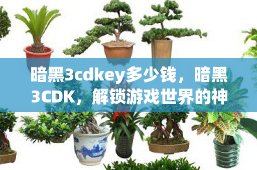 暗黑3cdkey多少钱，暗黑3CDK，解锁游戏世界的神秘钥匙