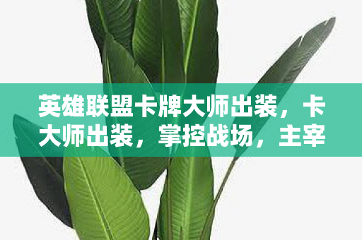 英雄联盟卡牌大师出装，卡大师出装，掌控战场，主宰比赛