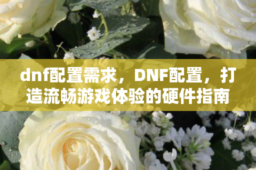 dnf配置需求，DNF配置，打造流畅游戏体验的硬件指南