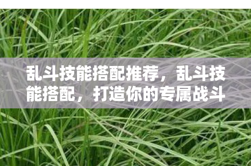 乱斗技能搭配推荐，乱斗技能搭配，打造你的专属战斗风格
