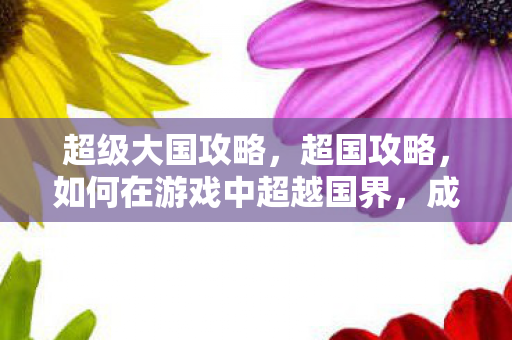 超级大国攻略，超国攻略，如何在游戏中超越国界，成就非凡