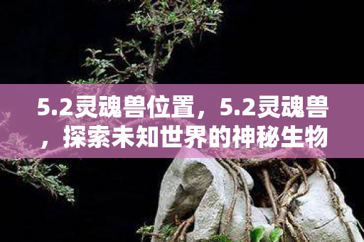 5.2灵魂兽位置,5.2灵魂兽,探索未知世界的神秘生物 5.2灵魂兽位置,5.2灵魂兽,探索未知世界的神秘生物