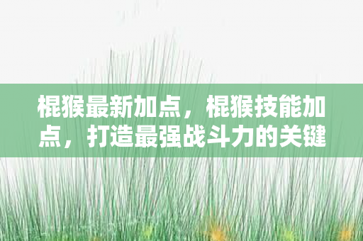 棍猴最新加点,棍猴技能加点,打造最强战斗力的关键 棍猴最新加点,棍猴技能加点,打造最强战斗力的关键