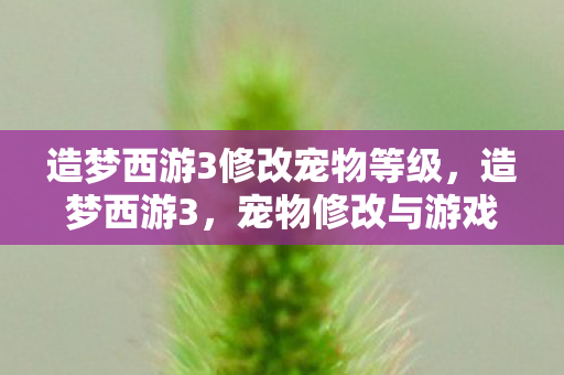 造梦西游3修改宠物等级,造梦西游3,宠物修改与游戏乐趣的平衡 造梦西游3修改宠物等级,造梦西游3,宠物修改与游戏乐趣的平衡
