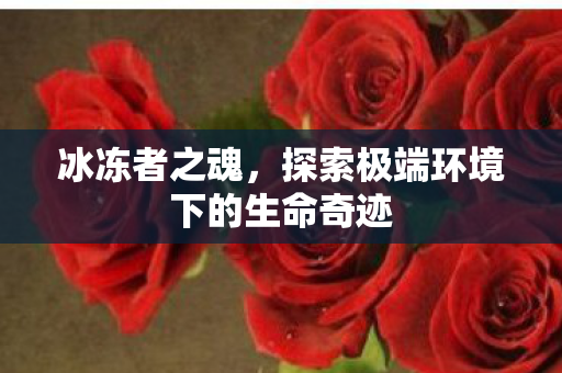 冰冻者之魂,探索极端环境下的生命奇迹 冰冻者之魂,探索极端环境下的生命奇迹