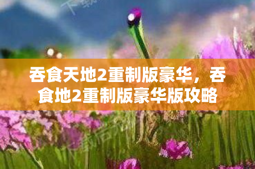 吞食天地2重制版豪华,吞食地2重制版豪华版攻略 吞食天地2重制版豪华,吞食地2重制版豪华版攻略