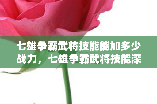 七雄争霸武将技能能加多少战力,七雄争霸武将技能深度解析,策略与智慧的碰撞 七雄争霸武将技能能加多少战力,七雄争霸武将技能深度解析,策略与智慧的碰撞