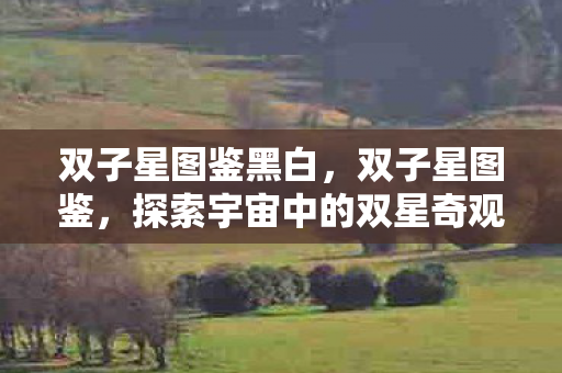 双子星图鉴黑白,双子星图鉴,探索宇宙中的双星奇观 双子星图鉴黑白,双子星图鉴,探索宇宙中的双星奇观