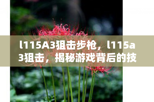 l115A3狙击步枪,l115a3狙击,揭秘游戏背后的技术细节与策略 l115A3狙击步枪,l115a3狙击,揭秘游戏背后的技术细节与策略
