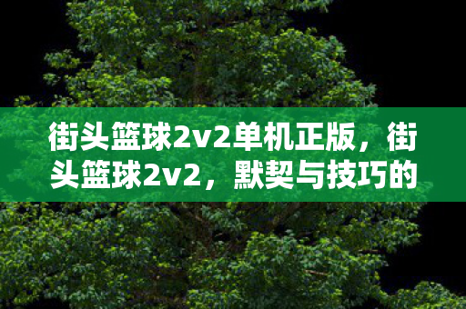 街头篮球2v2单机正版，街头篮球2v2，默契与技巧的碰撞