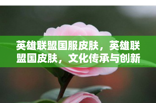 英雄联盟国服皮肤，英雄联盟国皮肤，文化传承与创新的视觉盛宴