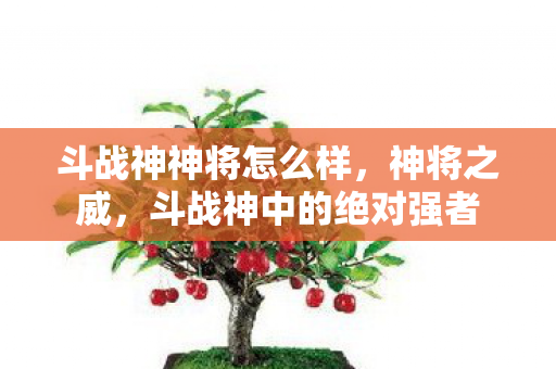 斗战神神将怎么样，神将之威，斗战神中的绝对强者