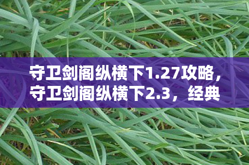 守卫剑阁纵横下1.27攻略，守卫剑阁纵横下2.3，经典再现，策略与冒险的完美结合