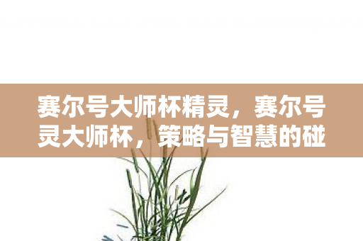 赛尔号大师杯精灵,赛尔号灵大师杯,策略与智慧的碰撞 赛尔号大师杯精灵,赛尔号灵大师杯,策略与智慧的碰撞