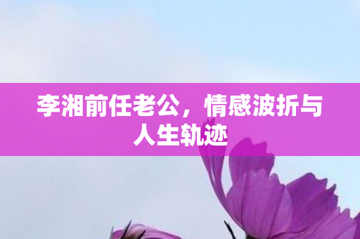 李湘前任老公,情感波折与人生轨迹 李湘前任老公,情感波折与人生轨迹