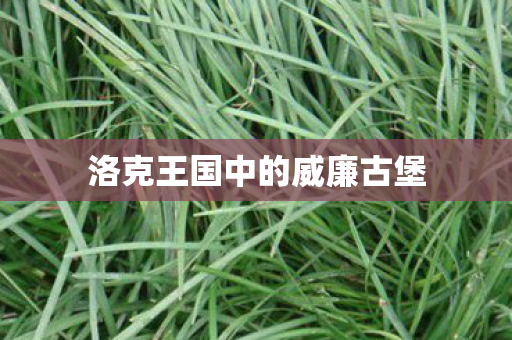 洛克王国中的威廉古堡