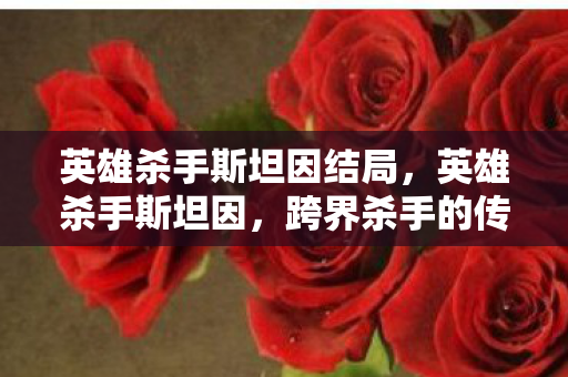 英雄杀手斯坦因结局，英雄杀手斯坦因，跨界杀手的传奇故事