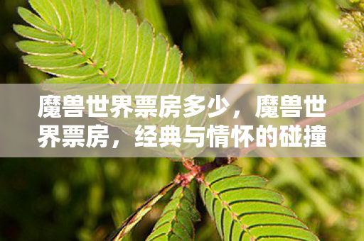 魔兽世界票房多少，魔兽世界票房，经典与情怀的碰撞