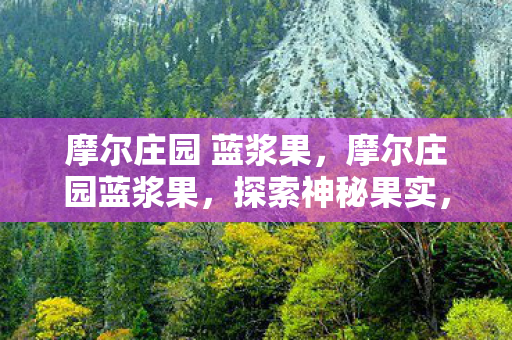 摩尔庄园 蓝浆果,摩尔庄园蓝浆果,探索神秘果实,打造梦幻庄园 摩尔庄园 蓝浆果,摩尔庄园蓝浆果,探索神秘果实,打造梦幻庄园