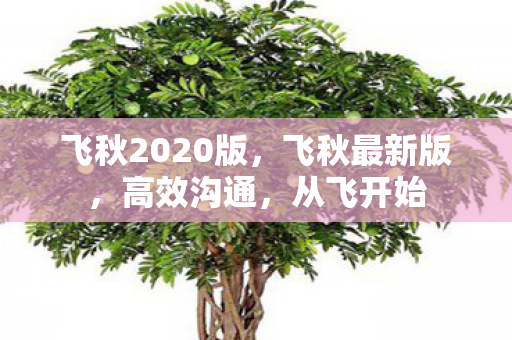 飞秋2020版,飞秋最新版,高效沟通,从飞开始 飞秋2020版,飞秋最新版,高效沟通,从飞开始