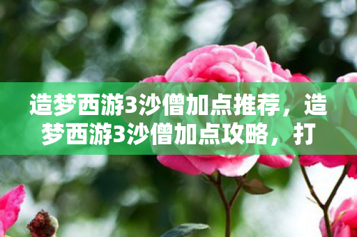 造梦西游3沙僧加点推荐,造梦西游3沙僧加点攻略,打造最强辅助角色 造梦西游3沙僧加点推荐,造梦西游3沙僧加点攻略,打造最强辅助角色